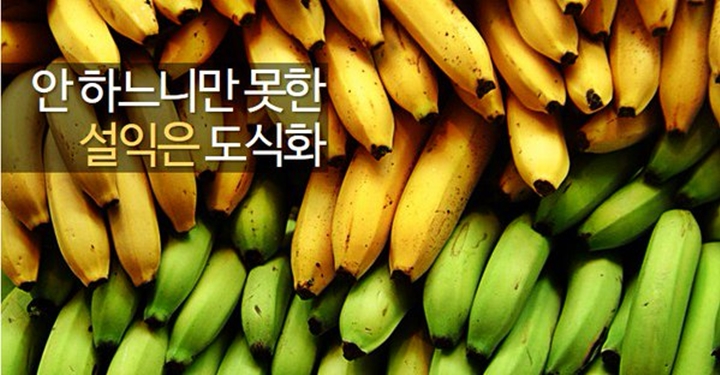 설익은 도식화는 곤란하다