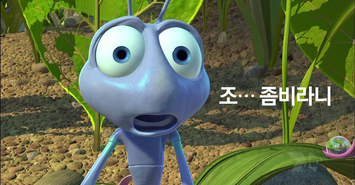 좀비 개미의 비밀