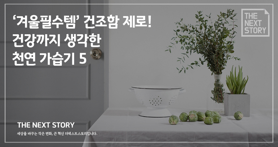 건조함 제로 겨울필수템! 건강까지 생각한 천연 가습기 5가지