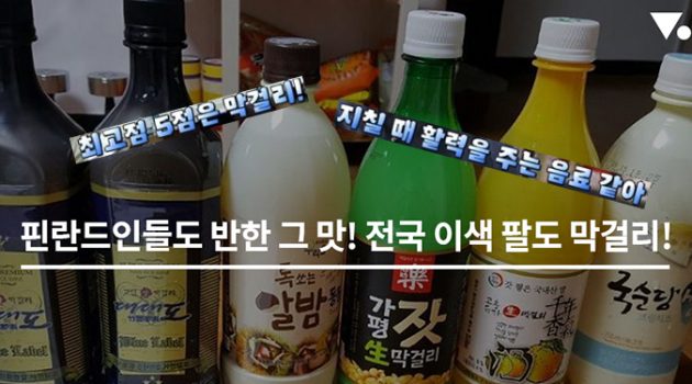 핀란드인도 반한 그 맛! 전국 팔도 이색 막걸리
