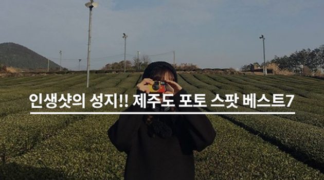 인생샷의 성지! 제주도 포토 스팟 베스트7