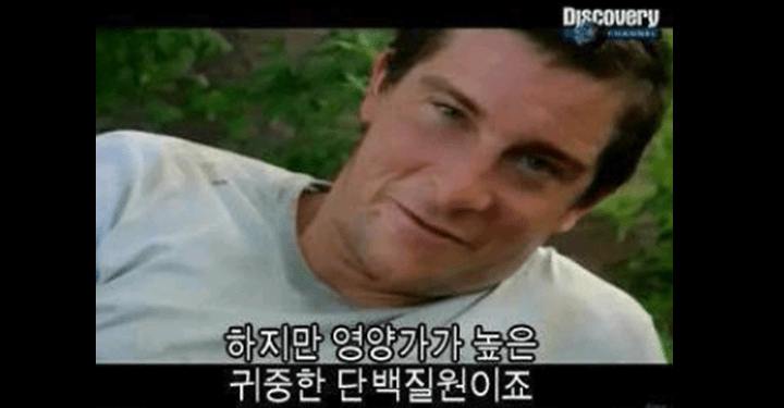 신발도 튀겨 먹던 내게 다가온 미래식량 ‘밀스’