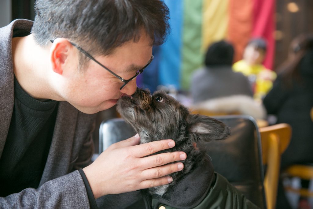 최고급 반려동물 수제 간식을 만드는 예비 사회적 기업 ‘동물의 집’