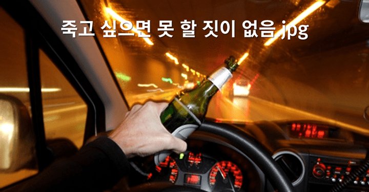 전 세계의 음주운전 처벌에 대해 알아보자