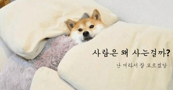 오류투성이의 외로운 두발 생물들에게 던지는 ‘뜻밖의 질문들’