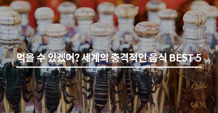 먹을 수 있겠어? 세계의 충격적인 음식 BEST 5