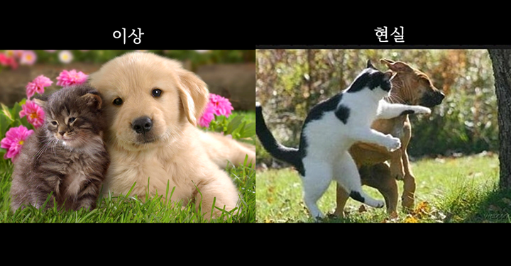 정치사상사 : 개헌 정국을 여행하는 시민을 위한 안내서