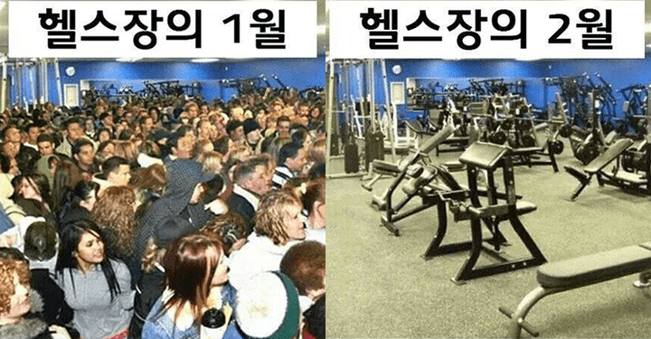 헬스장 다녀도 살 못 빼는 이유를 알려주마