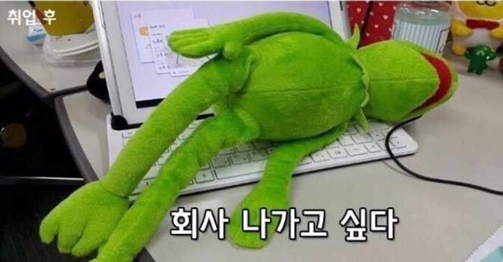 요즘 청년은 주인의식이 없다? 주인인 척하는 윗사람이 너무 많아서 아닐까