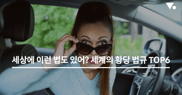 세상에 이런 법도 있어? 세계의 황당 법규 TOP 6