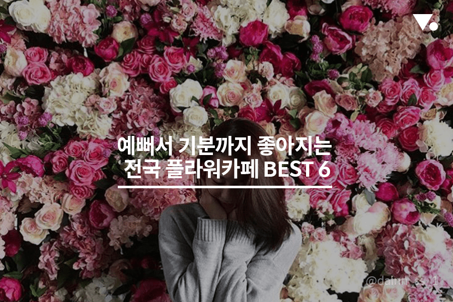 봄이 온 게 느껴지나요? 전국 플라워 카페 BEST 6