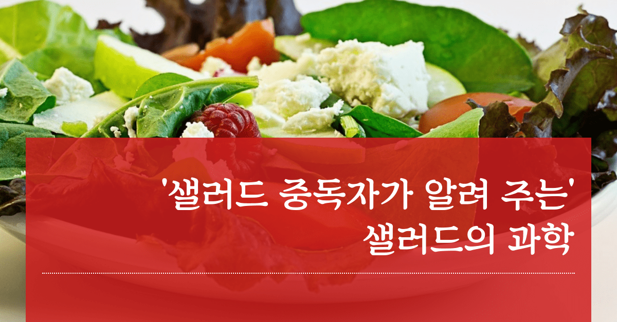 샐러드 중독자가 알려 주는 샐러드의 과학