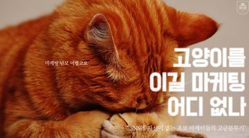 오늘도 퇴근하지 못하는 초보 마케터들에게 제안합니다