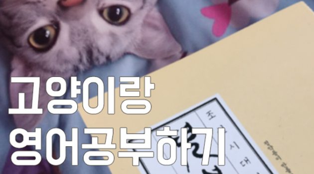 조선시대 영어교재로 고양이랑 영어 공부하기!