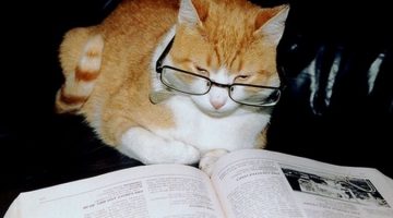 책은 왜, 어떻게 쓸까?