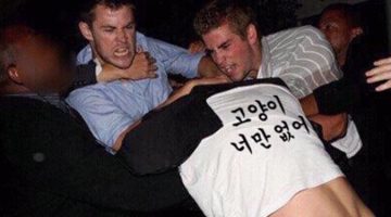 고양이 입양 전 당신이 생각해 보아야 하는 10가지