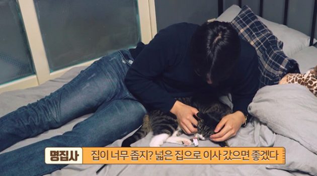 큰 꿈은 없고요, 그저 고양이랑 알콩달콩 살고 싶습니다