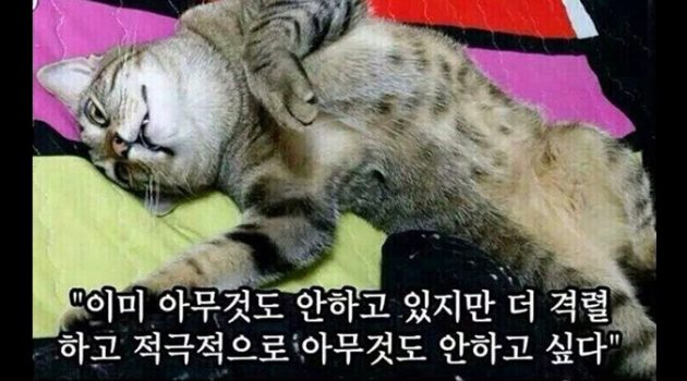 아무것도 안 하는 것의 미덕