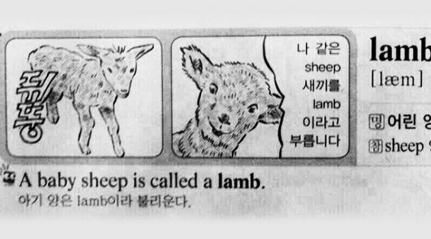 너희가 영어를 못하는 이유를 알려주마