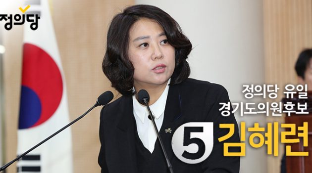 고양의 3선 시의원, 정의당 유일의 경기도의원에 도전하다 – 경기도의원 후보 김혜련 인터뷰