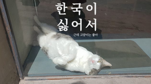 내가 한국을 떠나고 싶었던 이유