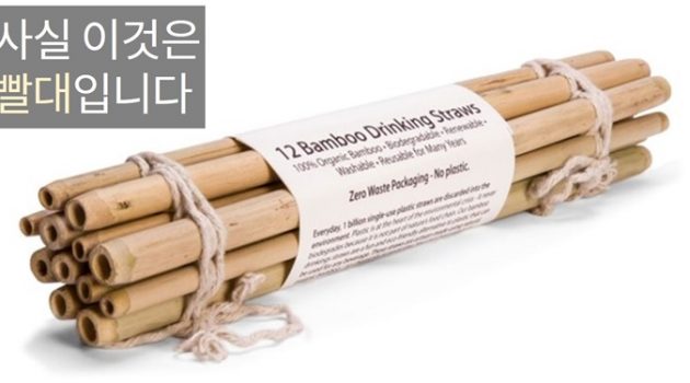 음료의 친환경적 변화 4