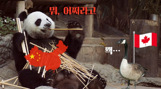 ‘캐나다 구스’ 사태로 본 중국의 치졸함: 득인가, 독인가?
