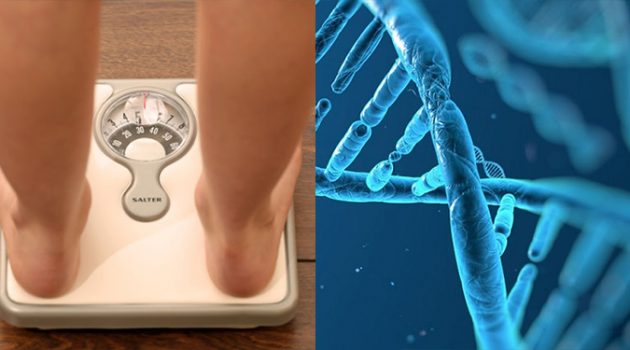 마른 사람은 유전자부터 다르다?