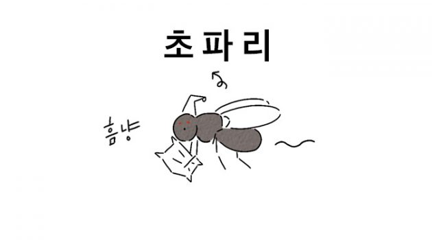 초파리는 잠을 자지 않아도 문제없다?