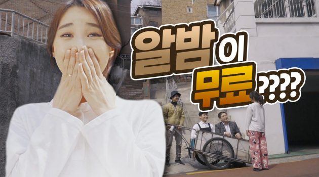 속이 꽉 찬 알밤 주세요, 무료로
