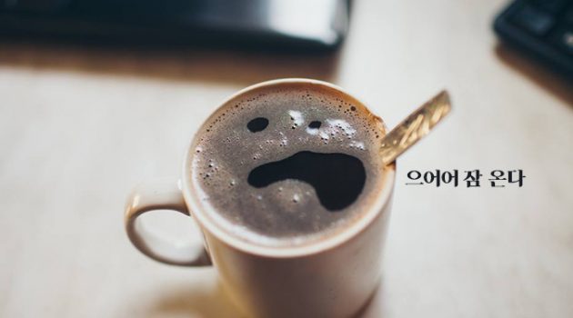 커피 섭취 권고량은 하루 6잔 이하