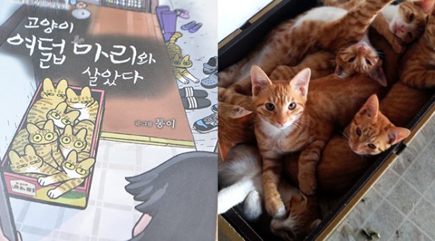 고양이 여덟 마리와 살았다