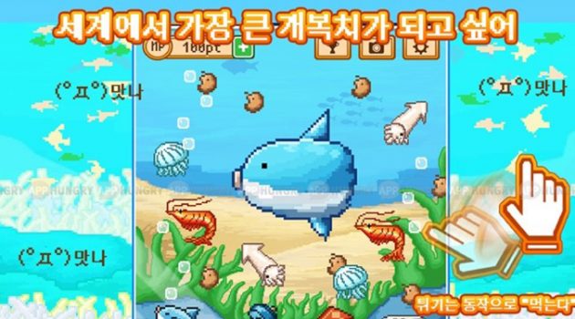 누구보다 든든한, 개복치의 태도