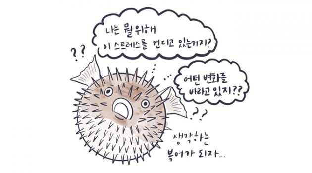 내 마음 시방 위험한 복어