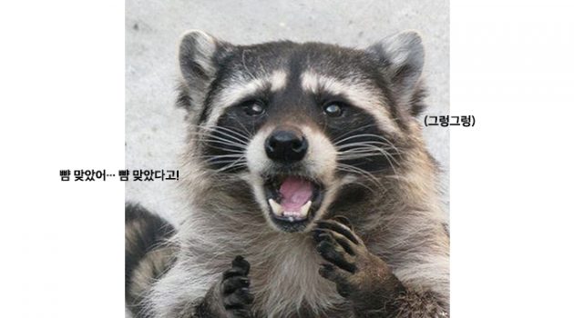 종로에서 뺨 맞았을 때