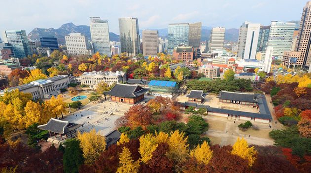 뭐 하세요? 가을인데 걸어야죠! (※ 서울 위주 주의)