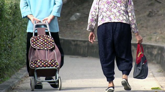 인구 고령화와 성장의 경제학: 일본의 시행착오에서 배우기