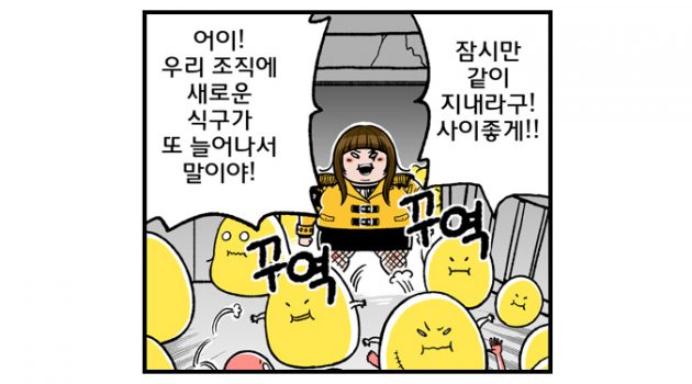 요요 현상이 영구적으로 다이어트에 영향을 미친다고?