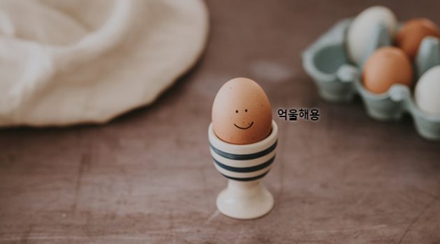 달걀은 하루 3개까지, 수란 혹은 삶아서 먹을 것