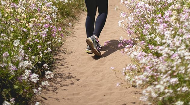 매일 10km씩 걸으면 살 빠져요?