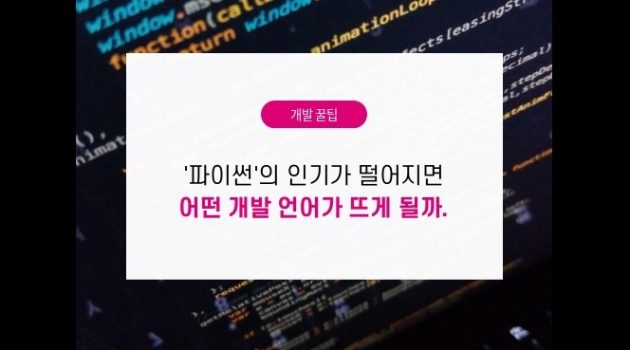 ‘파이썬’의 인기가 떨어지면 어떤 개발 언어가 뜨게 될까?