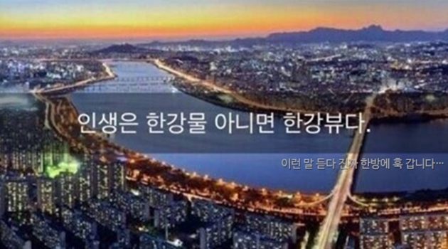 어차피 듣지 않을 주식 투자 조언