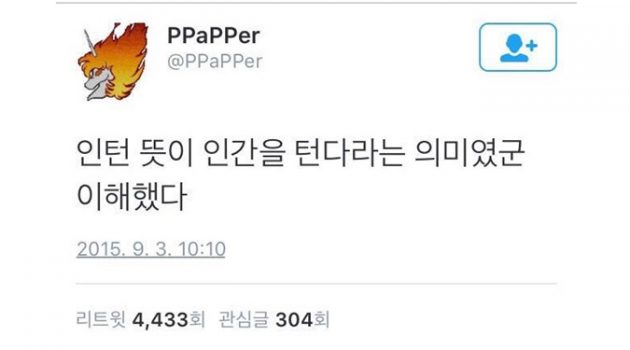 대표님, 인턴 그만 뽑죠