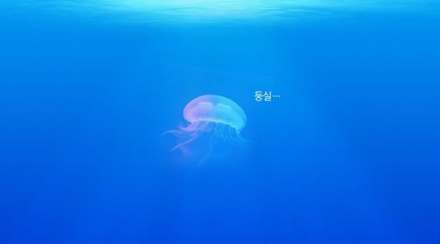 물고기가 영양가 없는 해파리를 잡아먹는 이유