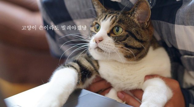 원격근무 제대로 시작하기