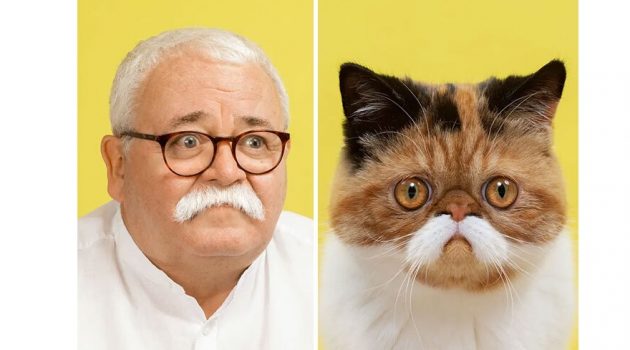 고양이와 주인, 진짜 똑같이 생겼잖아?
