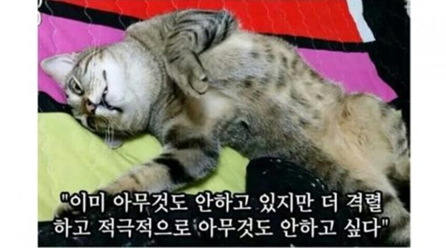 게으름을 능력으로 바꾸는 방법