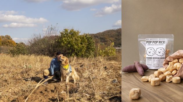 ‘강아지 뻥튀기’로 알리바바 입점: 글로벌 시장 공략의 비결은?