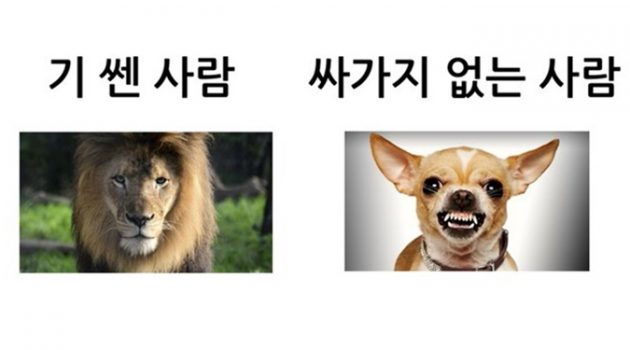 걔, 일은 잘하는데  싸가지는 없어!