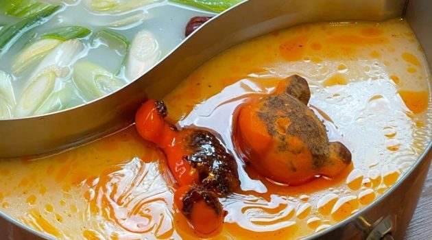 인스타에서 난리가 났어요! 곰돌이 맛집 BEST 5